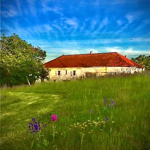 le-bouyssou.midi-pyreneeshotels.com/